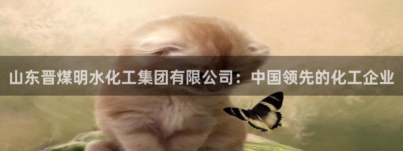 球盟会官方网站是什么：山东晋煤明水化工集团有限公司：中国领先