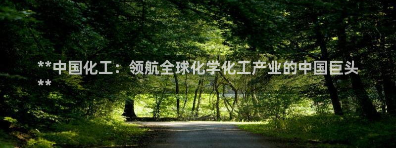球盟会网页登录app下载地址：**中国化工：领航全球化学化工