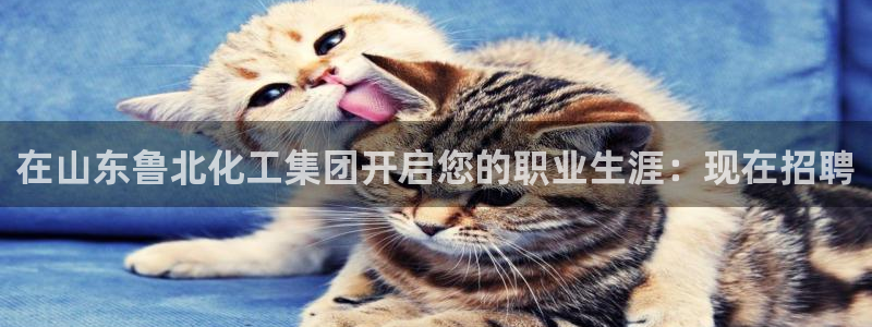 球盟会下载最新版：在山东鲁北化工集团开启您的职业生涯：现在招