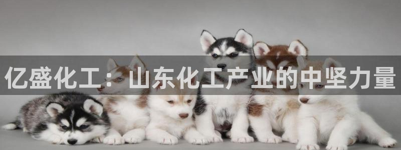 球盟会官方下载：亿盛化工：山东化工产业的中坚力量