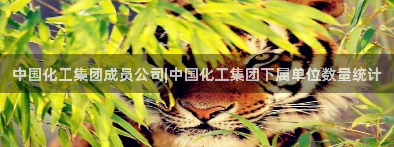 球盟会官方平台入口：中国化工集团成员公司|中国化工集团下属单