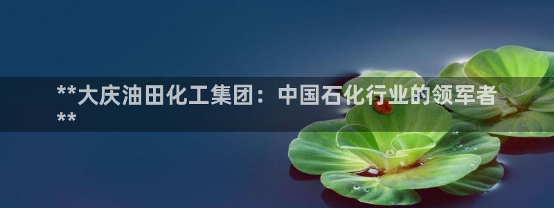 球盟会官网入口：**大庆油田化工集团：中国石化行业的领军者
