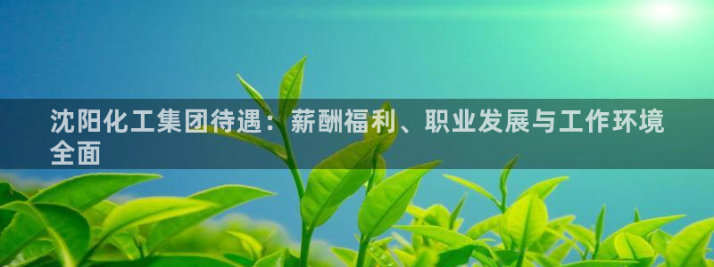 球盟会福利码2023最简单三个步骤：沈阳化工集团待遇：薪酬福