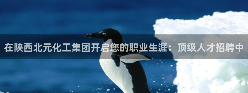 球盟会平台怎么样：在陕西北元化工集团开启您的职业生涯：顶级人