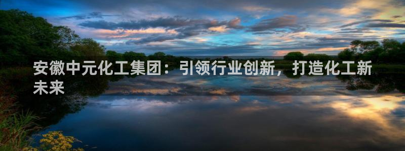 球盟会有没有黑单的活动：安徽中元化工集团：引领行业创新，打造