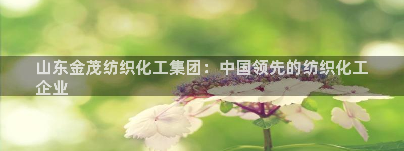 球盟会官网入口：山东金茂纺织化工集团：中国领先的纺织化工
企