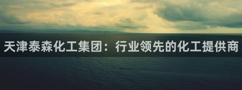 球盟会官方登录平台入口：天津泰森化工集团：行业领先的化工提供