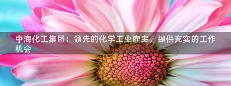 球盟会网址多少：中海化工集团：领先的化学工业雇主，提供充实的