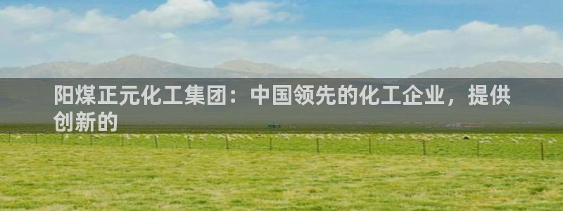 球盟会app最新地址在哪看：阳煤正元化工集团：中国领先的化工