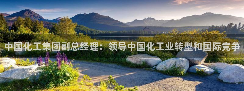 球盟会优惠领取网站是真的吗：中国化工集团副总经理：领导中国化