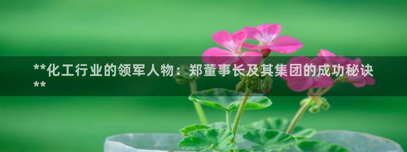 球盟会可以提现么现在：**化工行业的领军人物：郑董事长及其集