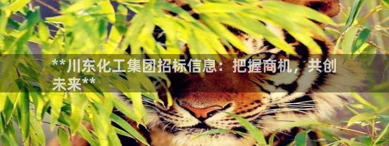 球盟会qmh登录地址：**川东化工集团招标信息：把握商机，共