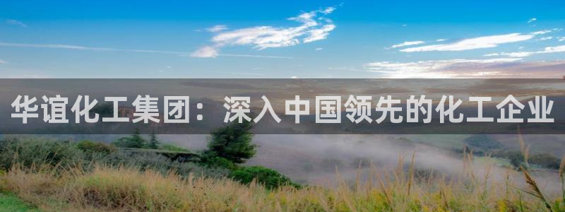 球盟会论坛：华谊化工集团：深入中国领先的化工企业