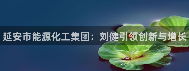球盟会qm9：延安市能源化工集团：刘健引领创新与增长