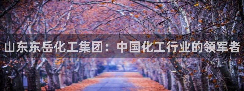 球盟会qmh - 球盟会官方网站：山东东岳化工集团：中国化工