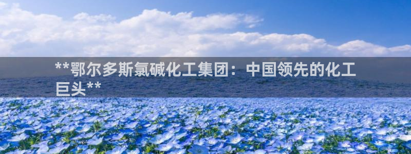 球盟会可以提现么：**鄂尔多斯氯碱化工集团：中国领先的化工
