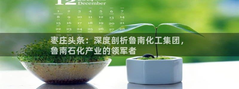 球盟会可以提现么现在：枣庄头条：深度剖析鲁南化工集团，
鲁南