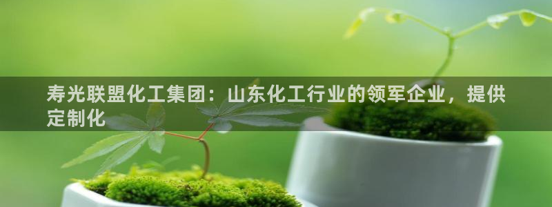 球盟会头号玩家：寿光联盟化工集团：山东化工行业的领军企业，提