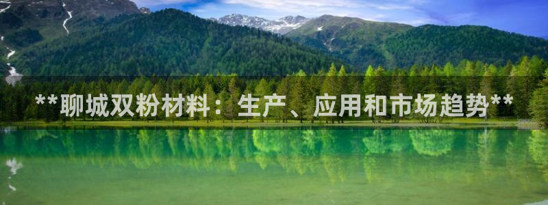 球盟会官方版下载地址：**聊城双粉材料：生产、应用和市场趋势