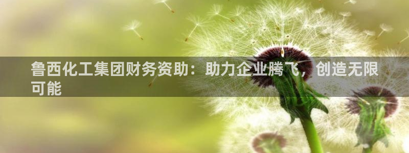 球盟会进不去球员吗：鲁西化工集团财务资助：助力企业腾飞，创造