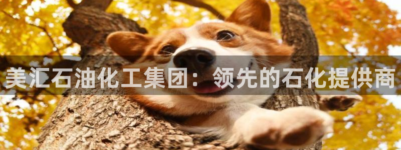 球盟会在线登入：美汇石油化工集团：领先的石化提供商