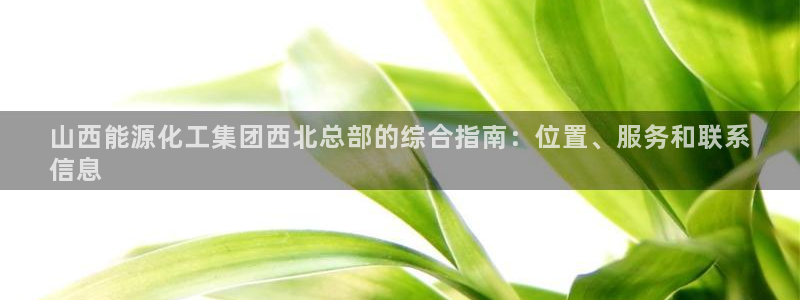 球盟会娱乐平台：山西能源化工集团西北总部的综合指南：位置、服