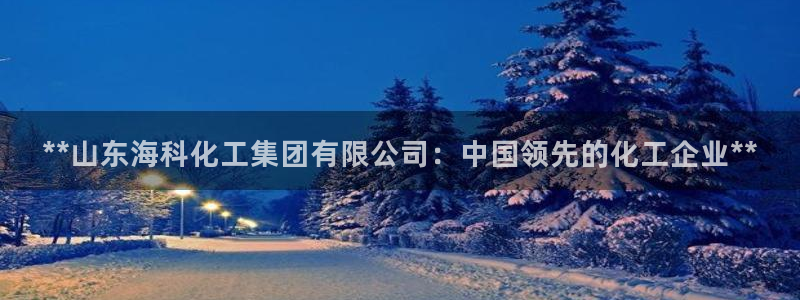 球盟会官方网站是什么：**山东海科化工集团有限公司：中国领先
