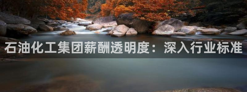 球盟会黑款吗是真的吗：石油化工集团薪酬透明度：深入行业标准