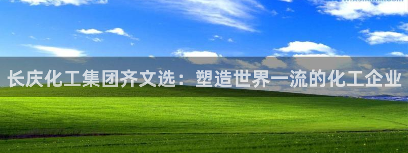 千亿球盟会：长庆化工集团齐文选：塑造世界一流的化工企业