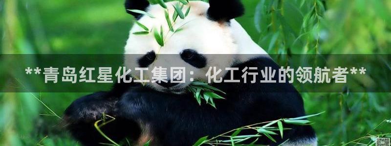 球盟会官网登录入口：**青岛红星化工集团：化工行业的领航者*
