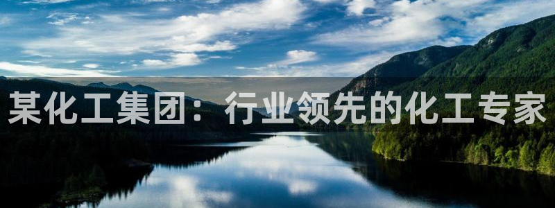 球盟会可靠不：某化工集团：行业领先的化工专家