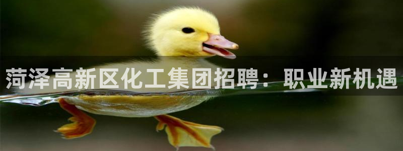 球盟会app网址多少：菏泽高新区化工集团招聘：职业新机遇