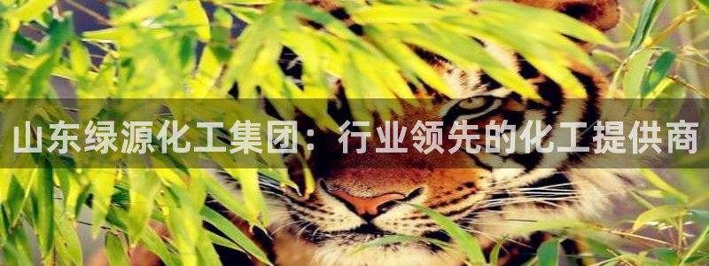 球盟会出款黑了：山东绿源化工集团：行业领先的化工提供商