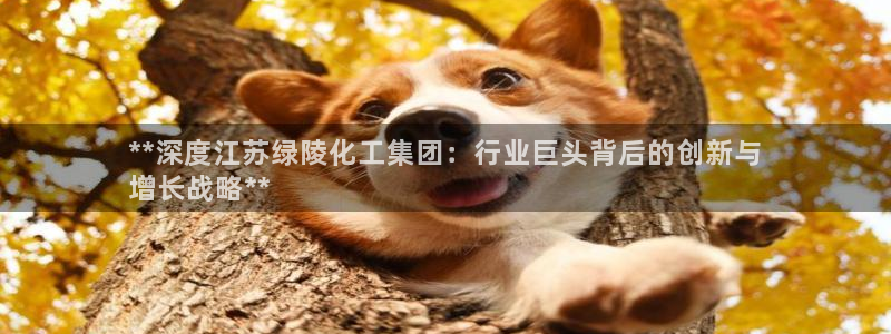 球盟会(中国)官方网站：**深度江苏绿陵化工集团：行业巨头背