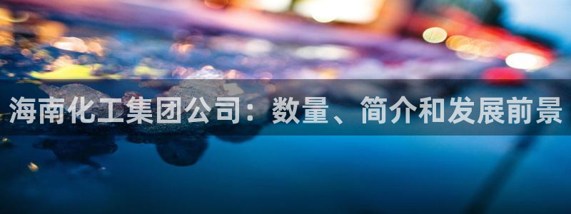 球盟会地址：海南化工集团公司：数量、简介和发展前景