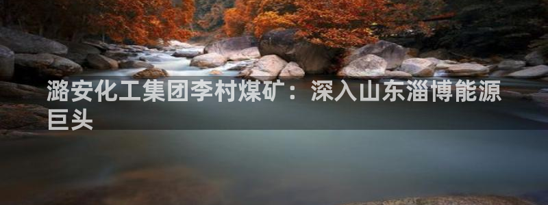 球盟会乐虎：潞安化工集团李村煤矿：深入山东淄博能源
巨头