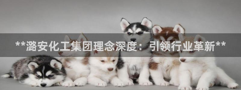 球盟会app：**潞安化工集团理念深度：引领行业革新**