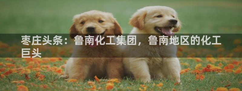 球盟会官方登录平台入口：枣庄头条：鲁南化工集团，鲁南地区的化