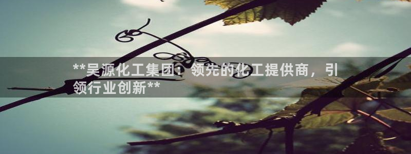 球盟会电子：**吴源化工集团：领先的化工提供商，引
领行业创