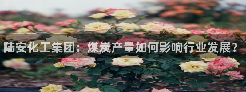 千亿球盟会：陆安化工集团：煤炭产量如何影响行业发展？