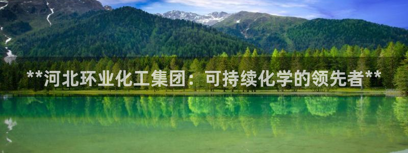 球盟会黑款吗：**河北环业化工集团：可持续化学的领先者**