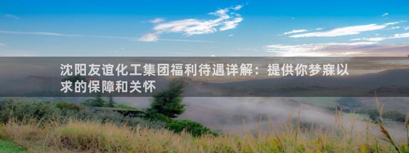 球盟会贴吧：沈阳友谊化工集团福利待遇详解：提供你梦寐以
求的