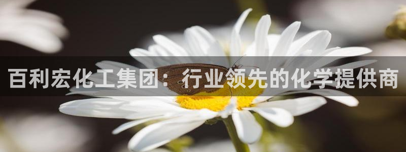 球盟会优惠券：百利宏化工集团：行业领先的化学提供商