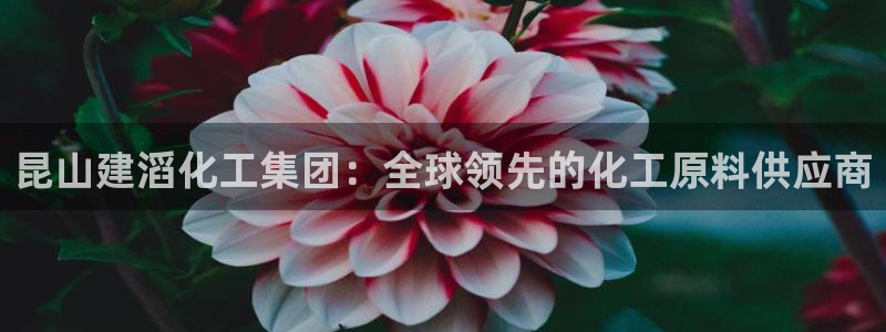 球盟会电子好下吗：昆山建滔化工集团：全球领先的化工原料供应商