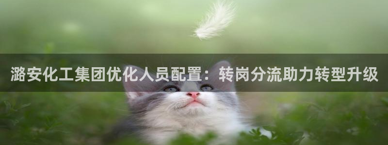 球盟会qm8597：潞安化工集团优化人员配置：转岗分流助力转