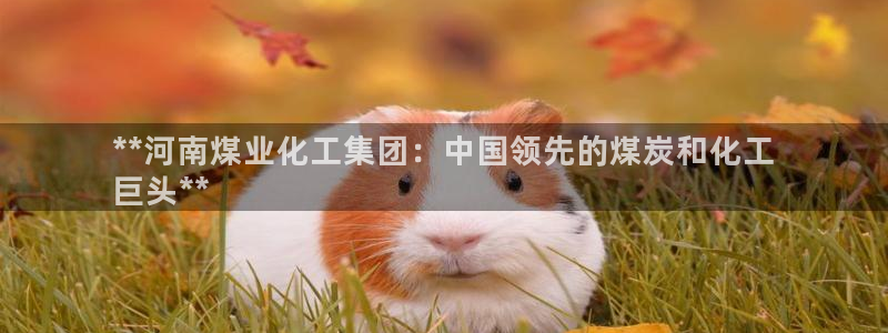 球盟会APP官网：**河南煤业化工集团：中国领先的煤炭和化工