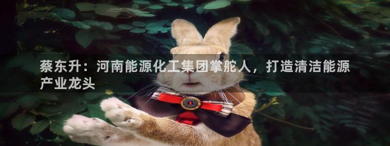 球盟会(中国)官方网站：蔡东升：河南能源化工集团掌舵人，打造