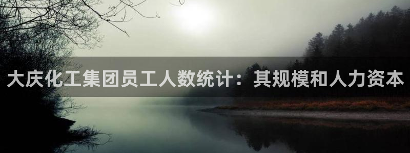 球盟会官方网入口：大庆化工集团员工人数统计：其规模和人力资本