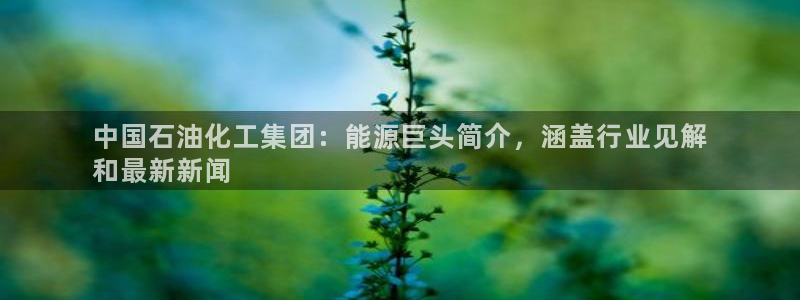 球盟会网址多少：中国石油化工集团：能源巨头简介，涵盖行业见解