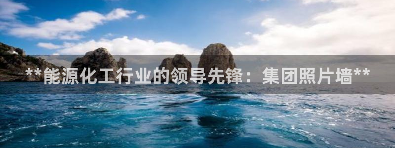 球盟会手机网页版：**能源化工行业的领导先锋：集团照片墙**